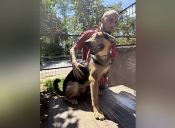 Jankó sucht das Abenteuer