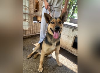 Jankó sucht das Abenteuer