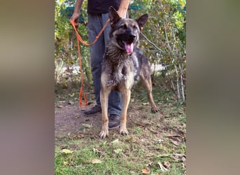 Mars - wer gibt ihm eine Chance?