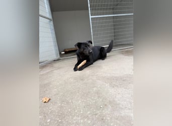 Theo- sucht seine Menschen!❤️