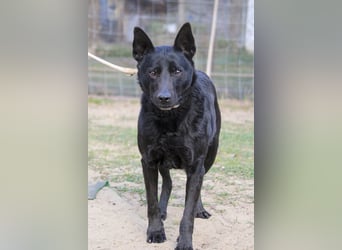Kozma sucht Sportskanonen!