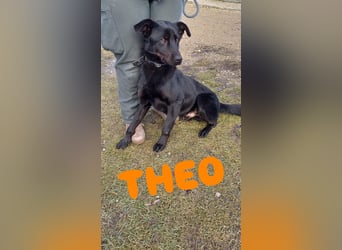 Theo- sucht seine Menschen!❤️
