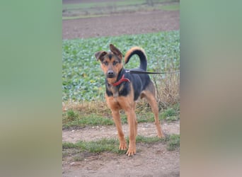 Ein Freund für's Leben. Victor, ca. 2022/2023 geboren, voller Lebensfreude!