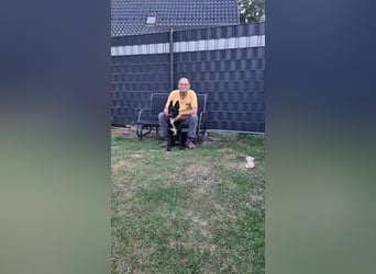Dringend neues zuhause für Lana gesucht