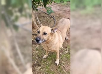 Lisa, wo darf Sie Geborgenheit finden Lisa, wo darf Sie Geborgenheit finden