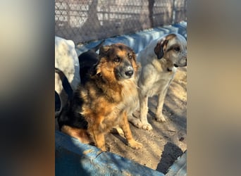 Rio, freundlich, sozial und gelassen