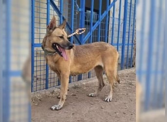 Lisa, wo darf Sie Geborgenheit finden Lisa, wo darf Sie Geborgenheit finden