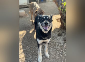 Leia, ein Herz voller Dankbarkeit