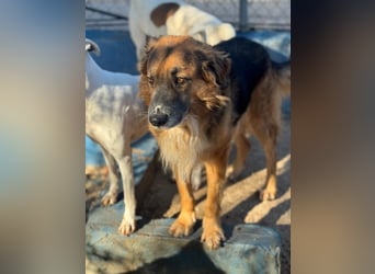 Rio, freundlich, sozial und gelassen