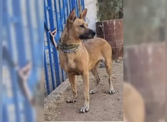 Lisa, wo darf Sie Geborgenheit finden Lisa, wo darf Sie Geborgenheit finden