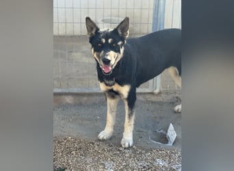 Leia, ein Herz voller Dankbarkeit