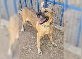 Lisa, wo darf Sie Geborgenheit finden Lisa, wo darf Sie Geborgenheit finden