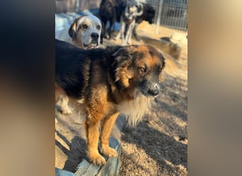 Rio, freundlich, sozial und gelassen