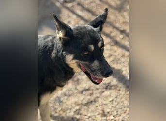 Leia, ein Herz voller Dankbarkeit