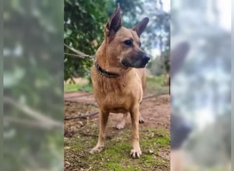 Lisa, wo darf Sie Geborgenheit finden Lisa, wo darf Sie Geborgenheit finden