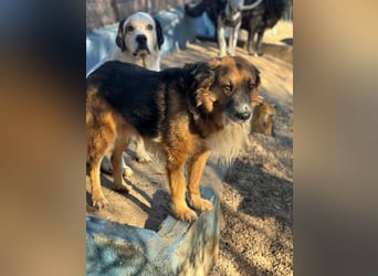 Rio, freundlich, sozial und gelassen