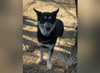 Leia, ein Herz voller Dankbarkeit