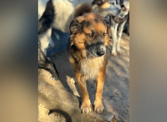 Rio, freundlich, sozial und gelassen