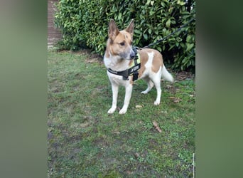 Flummi sucht sein Für-immer-Zuhause 