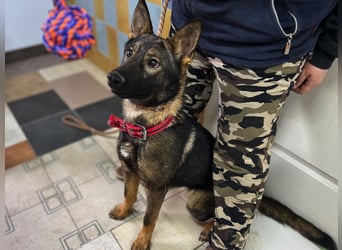 Ariel LM Raus aus dem Heim rein ins Herz