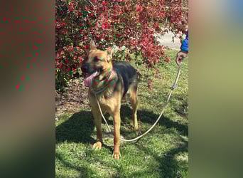 Sky, geboren 15.06.2025, 60cm sucht ihre Menschen