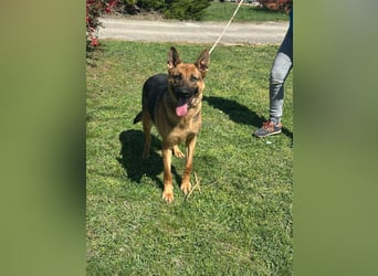 Sky, geboren 15.06.2025, 60cm sucht ihre Menschen