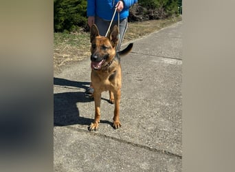 Sky, geb. 06.2025, 60cm sucht ihre Menschen
