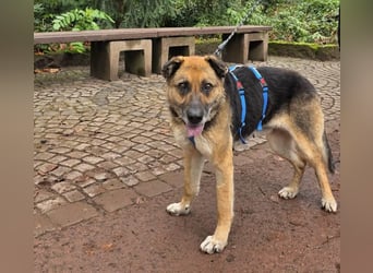 Helena, geb. 04.2026, 63cm, sucht ihr ihr Glück