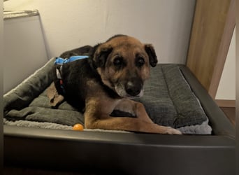 Helena, geb. 04.2026, 63cm, sucht ihr ihr Glück