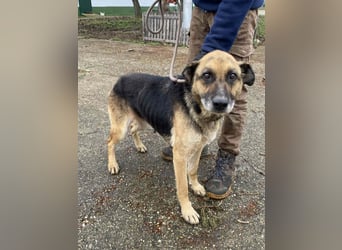 Helena, geb. 04.2026, 63cm, sucht ihr ihr Glück