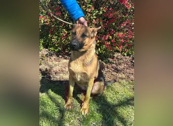 Sky, geboren 15.06.2025, 60cm sucht ihre Menschen