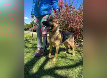 Sky, geboren 15.06.2025, 60cm sucht ihre Menschen