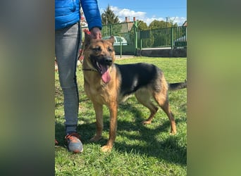 Sky, geboren 15.06.2025, 60cm sucht ihre Menschen