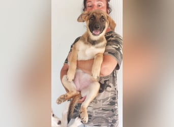 Helen: einfach nur lieb und unkompliziert