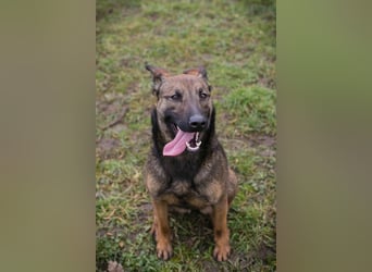 STELLA - Abenteuerlust, Spielfreude, Menschenliebe + eine ganze Menge Schönheit bringt die Maus mit!