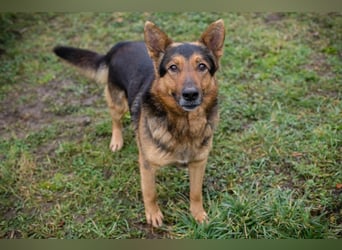 XAVER - ich möchte mit meinen Menschen zusammen die Welt entdecken!