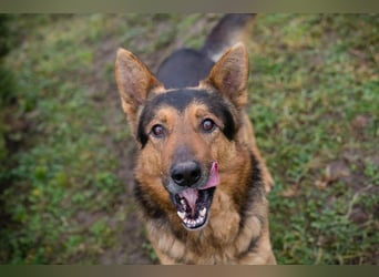 XAVER - ich möchte mit meinen Menschen zusammen die Welt entdecken!