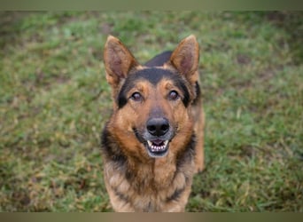 XAVER - ich möchte mit meinen Menschen zusammen die Welt entdecken!