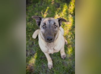 AMELIE - ich freue mich auf ein tolles Leben in meinem Für-Immer Zuhause