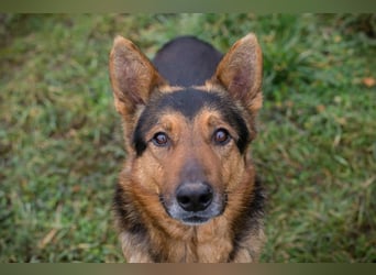 XAVER - ich möchte mit meinen Menschen zusammen die Welt entdecken!