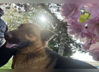 MALIE - sie verbringt ihr Leben voller Freude und Frohsinn