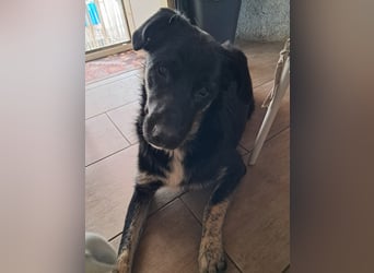 Teo sucht sein eigenes Sofa