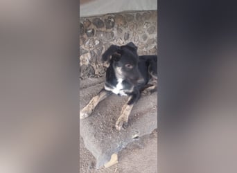 Teo sucht sein eigenes Sofa