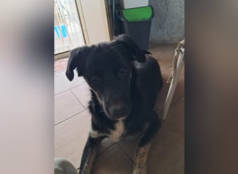 Teo sucht sein eigenes Sofa