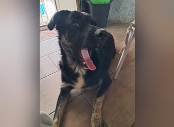 Teo sucht sein eigenes Sofa