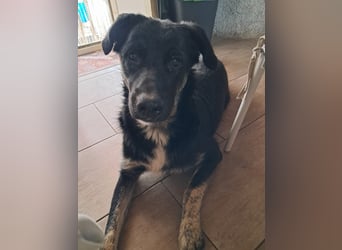 Teo sucht sein eigenes Sofa