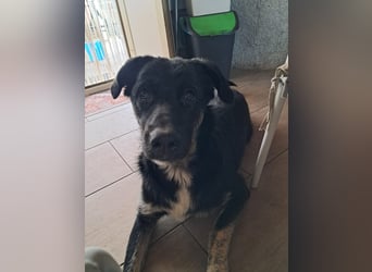 Teo sucht sein eigenes Sofa