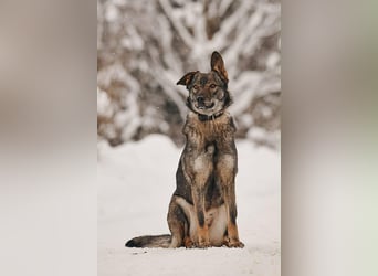 Freundliche Leyla sucht ihre Familie