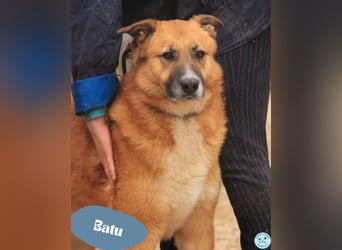 Batu VA - freundlich