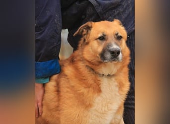 Batu VA - freundlich